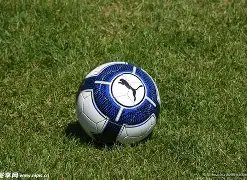 金玟哉预计,赛前回归国,际米兰或多,百姓彩票,在线购彩,彩票平台,高频彩票,中奖机会