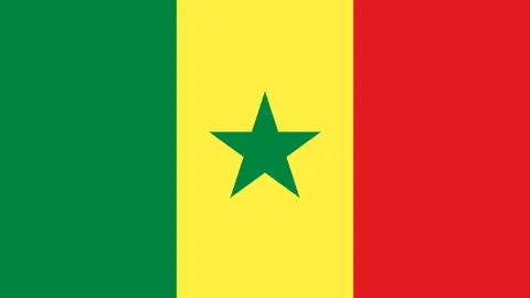 篮球跨越国界，郇斯枫在金门湾追逐梦想